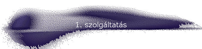 1. szolg�ltat�s